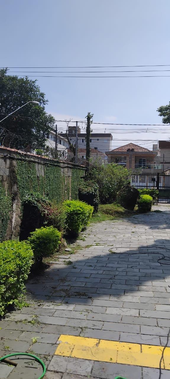 Jardim